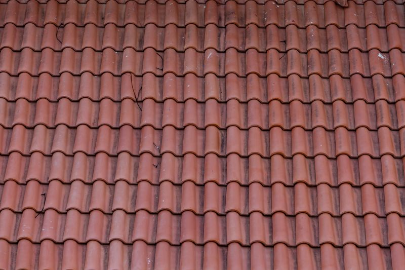 Clay Roof Leak Repair