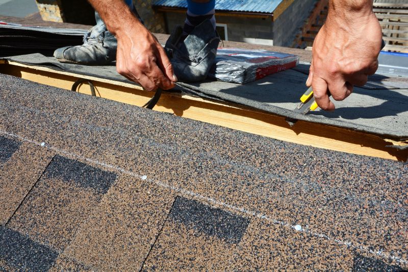 Shingle Repair detail