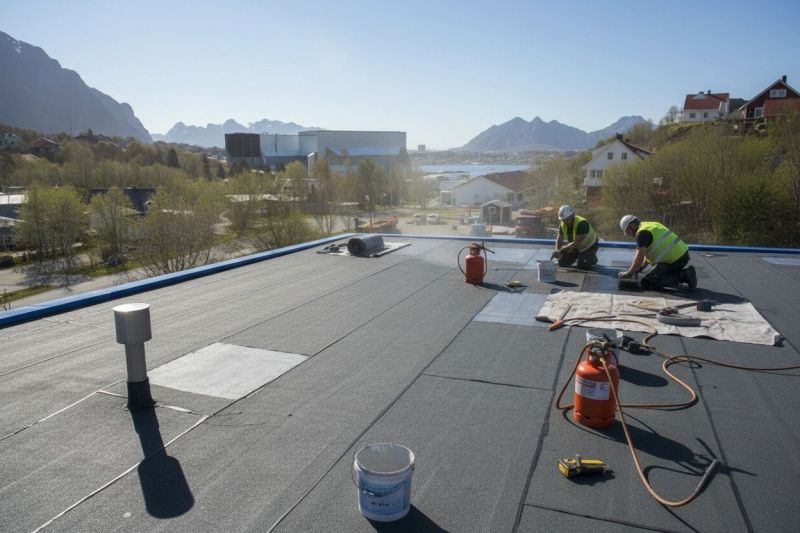 Single Ply Roof Replacement detail